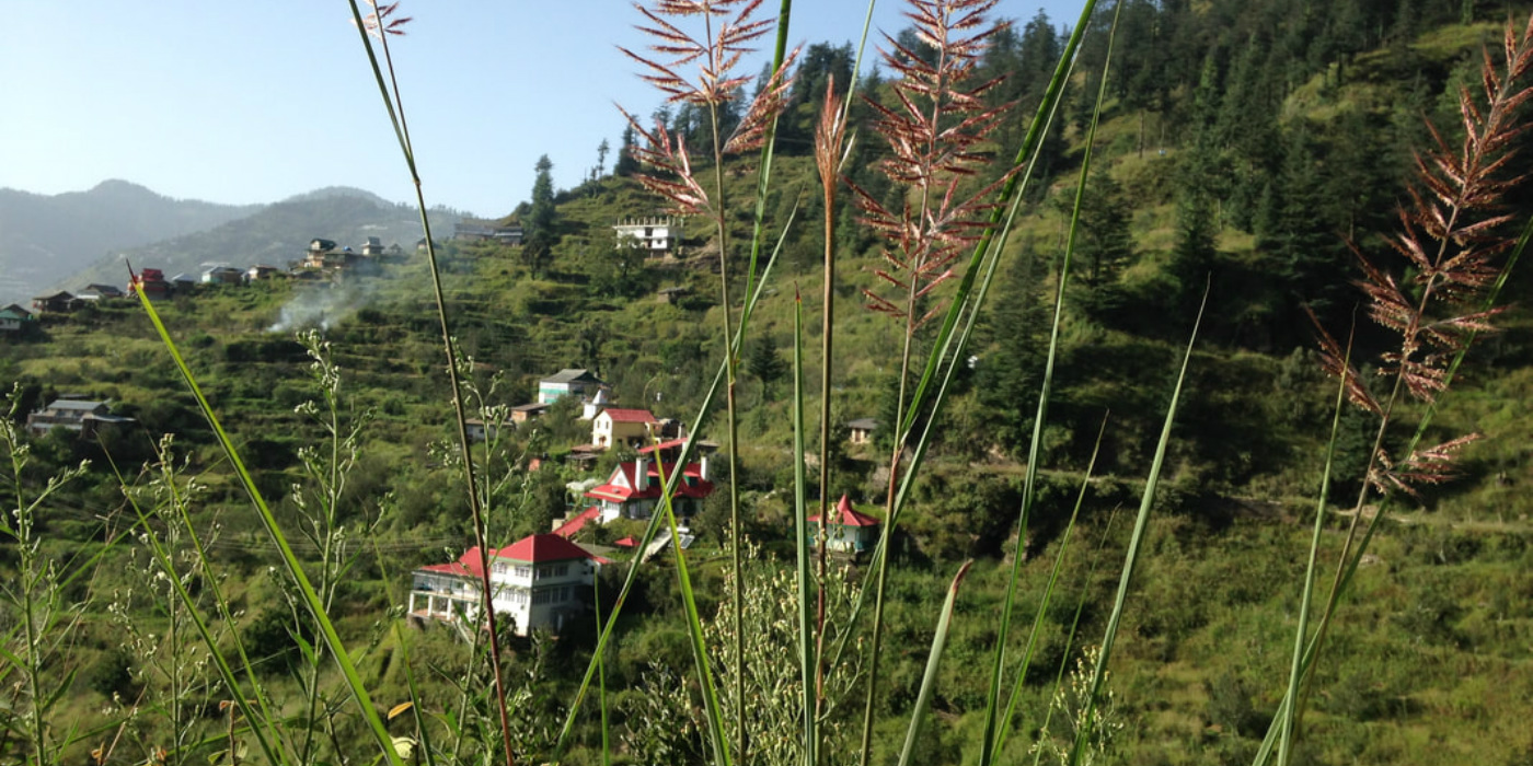 5 farmstays in Himachal Pradesh to enjoy nature and good food