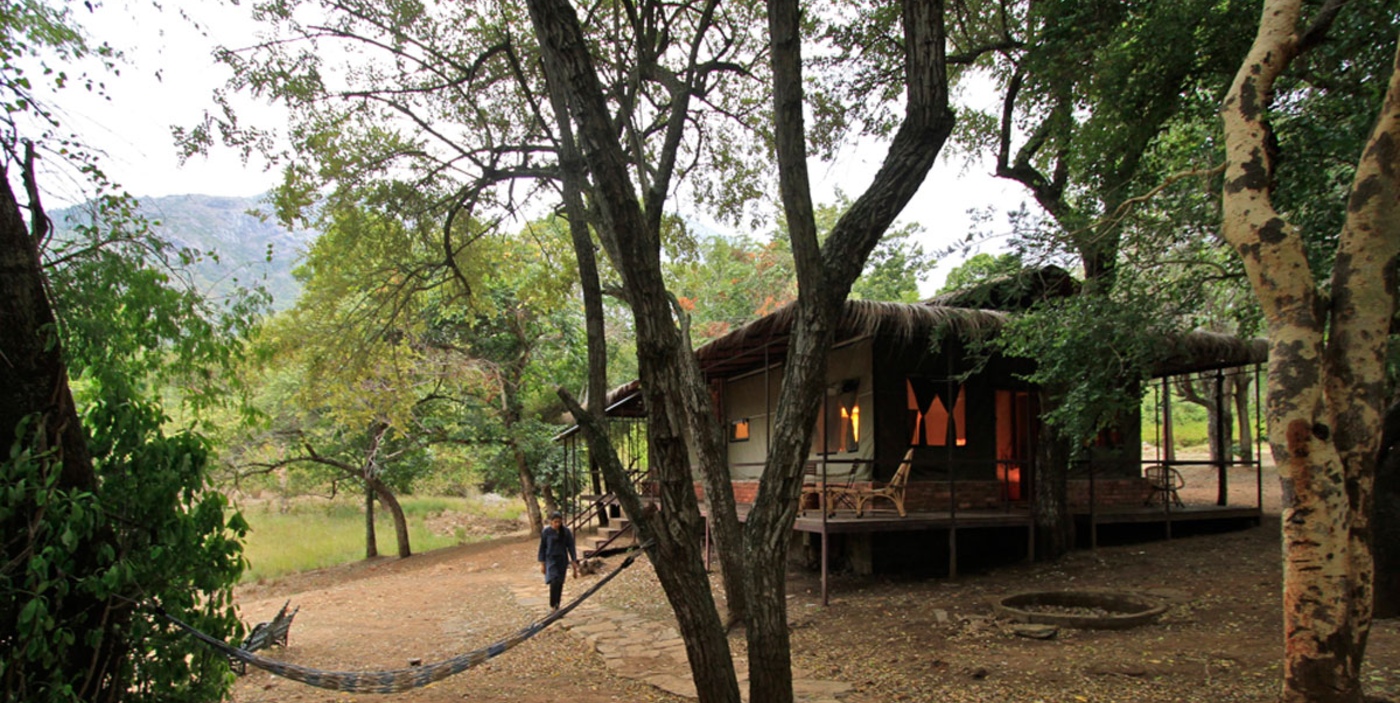 Explore Jungle Hut at the foothills of Nilgiri