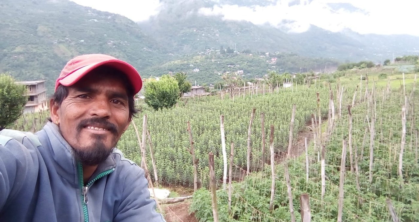 RT Local: Hear from a farmer who runs a homestay in Himachal Pradesh's Kullu